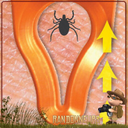 Pince à tique Tick Wrangler Tool UST morsure de tique randonnée chasse