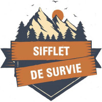 Tbest Sifflets de Sport, sifflet de Survie sifflet de Sauveteur à Haut décibel  Sifflet de sécurité