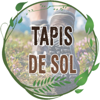 Tapis de sol